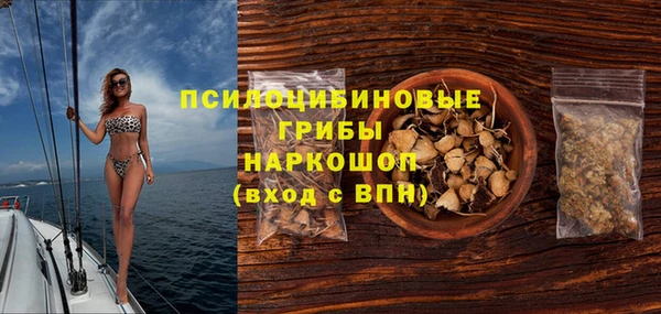 гидра Алексин