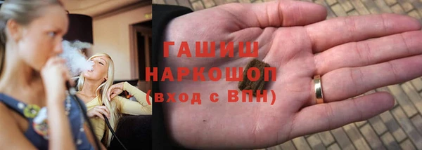 гидра Алексин