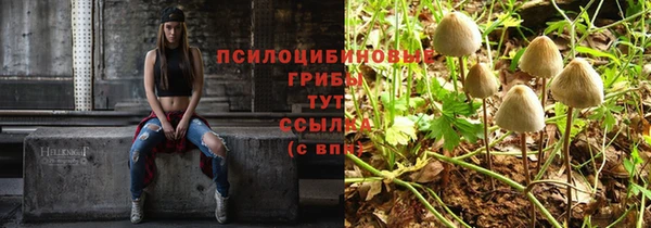 СК Алзамай