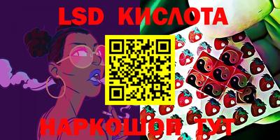 соль ск Новодвинск
