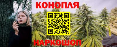 соль ск Новодвинск