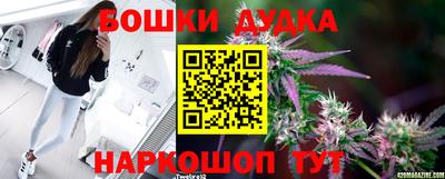 соль ск Новодвинск