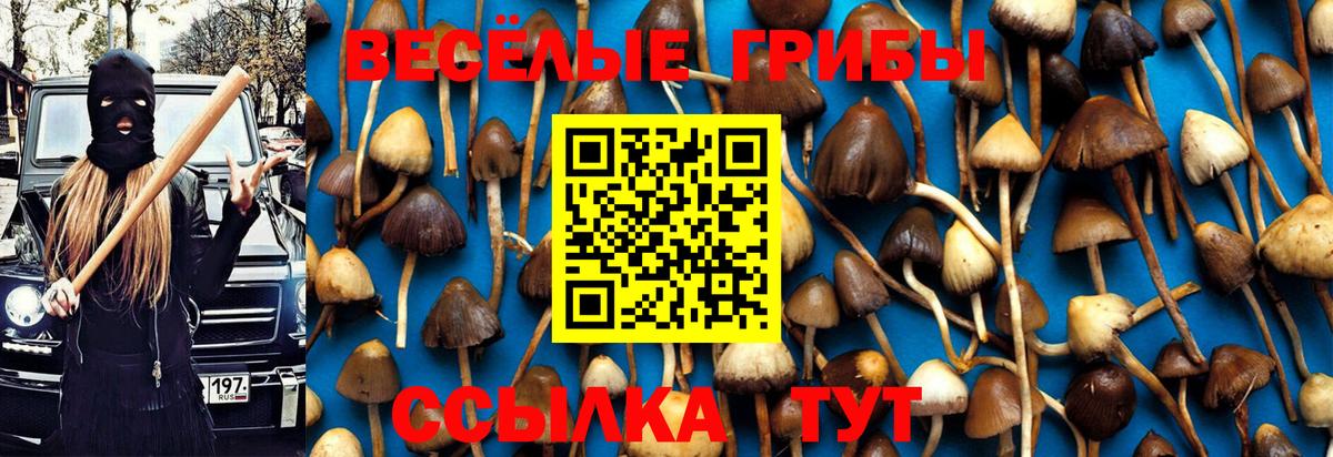 как найти закладки  Псилоцибиновые грибы GOLDEN TEACHER  Вход с VPN  Самара 